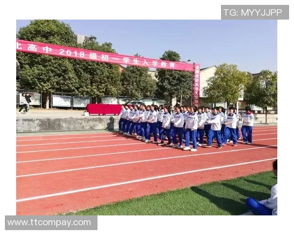 上海篮球队的成长之路：从青涩起步到辉煌成就的纪实故事