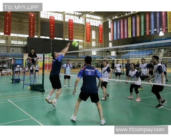 上海排球队的拼搏之路与挑战赛背后的奋斗故事